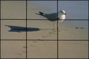 composition